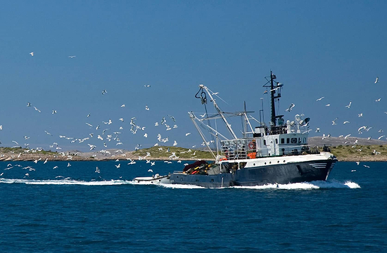Mundo pesquero en alerta: preocupa avance hacia la nulidad de la actual Ley