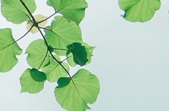 Nuevo requerimiento de información Ley REP a Productores de Productos Prioritarios