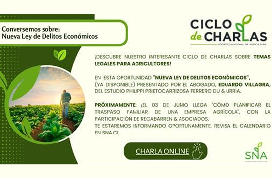 Cápsula: Nueva Ley de Delitos Económicos