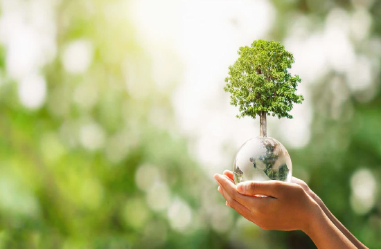 Sociedades Tipo B o B Corps