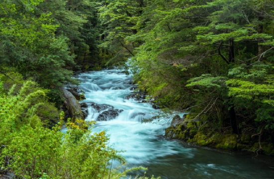 PPU counsels Anglo American Quellaveco on water use licence for project