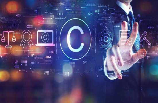 La acción de nulidad contra el derecho de propiedad industrial infringido