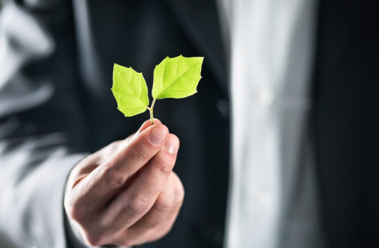 Retos de la expansión del derecho penal ambiental