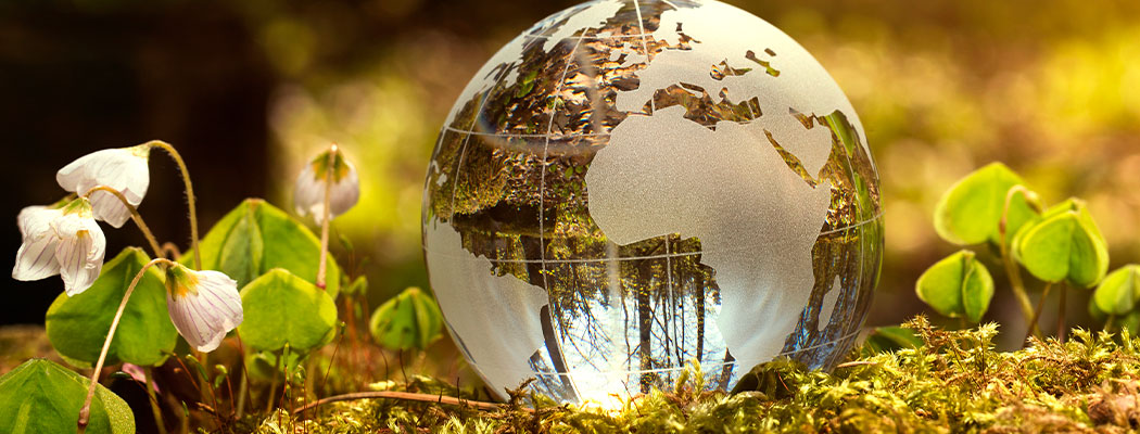 Desarrollo Sostenible y Derecho Ambiental 