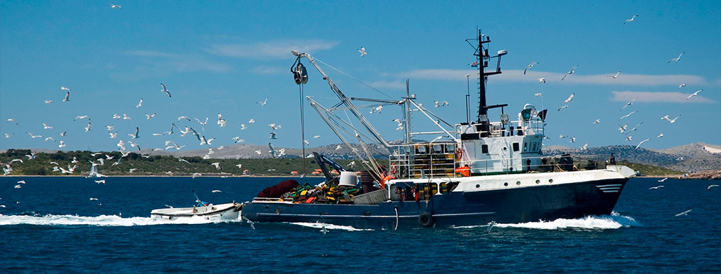 Derecho Pesca y Acuicultura