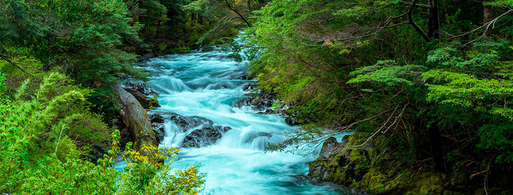 Derecho de Recursos Hídricos