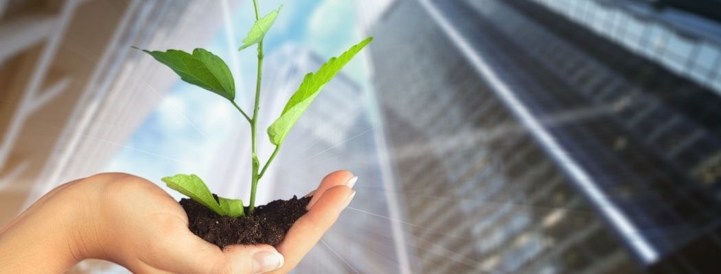 Delitos ambientales y justicia restaurativa