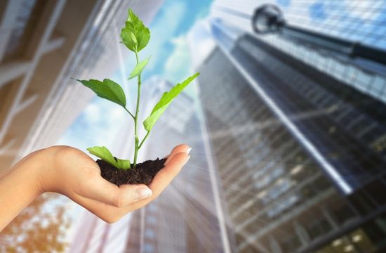 Delitos ambientales y justicia restaurativa