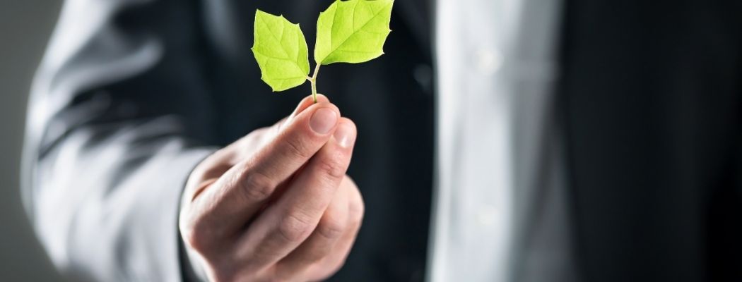 El ejercicio del Derecho en Colombia: especial énfasis en la práctica del derecho ambiental