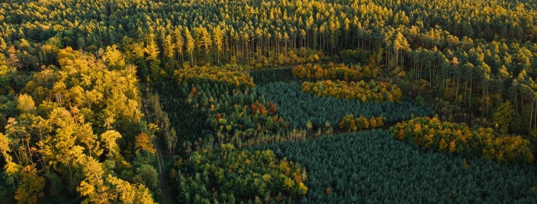 La divisibilidad de las resoluciones de calificación ambiental: riesgos jurídicos penales con ocasión de su falta de regulación