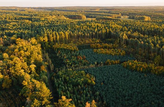 La divisibilidad de las resoluciones de calificación ambiental: riesgos jurídicos penales con ocasión de su falta de regulación