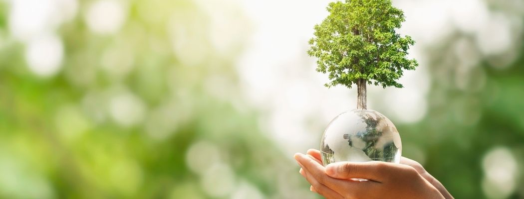 Proyecto de circular de la Superintendencia Financiera: Negocios Verdes