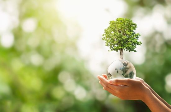 Proyecto de circular de la Superintendencia Financiera: Negocios Verdes