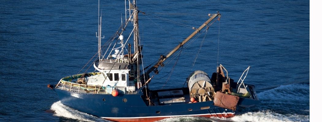 Un cuento de pescadores y reyes