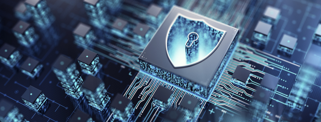 Privacidad y ciberseguridad