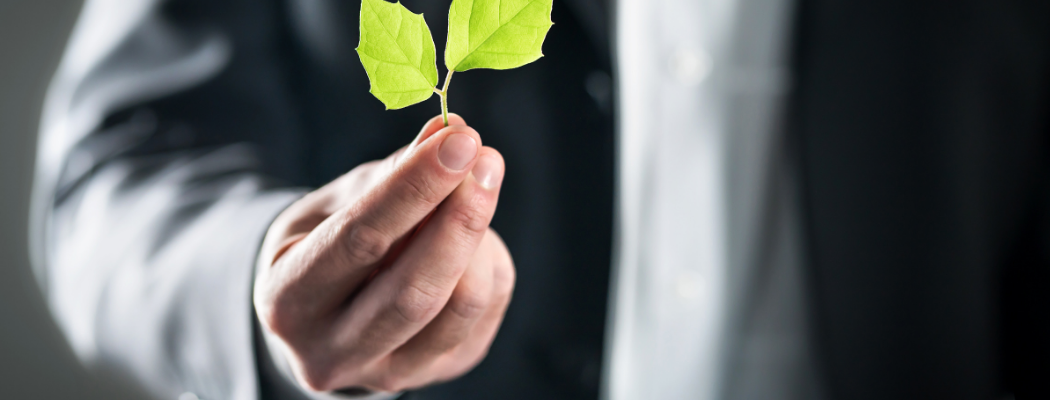 El “regalo” que dejó Boluarte a la industria: la “tregua” para que eviten multas ambientales