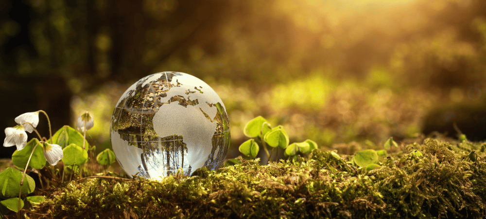 El Cambio Climático en licencias ambientales