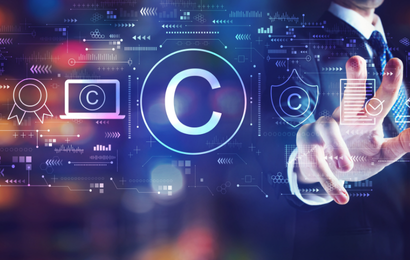 ¿Quedó en deuda la Decisión 486?