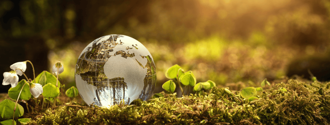 Ampliación de plazos para la transferencia de funciones de fiscalización ambiental