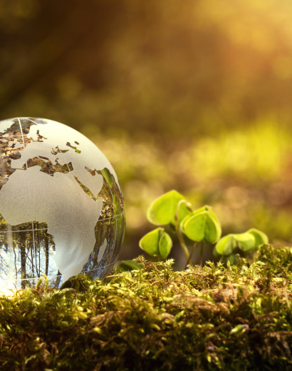 Ampliación de plazos para la transferencia de funciones de fiscalización ambiental