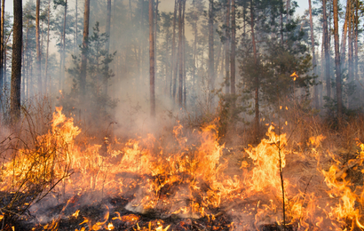 Hasta $37.500 millones de multa puede enfrentar por provocar incendios