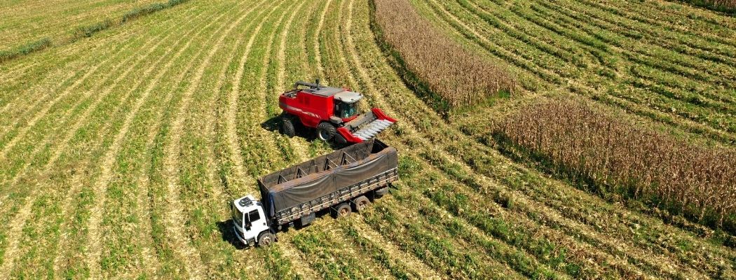 Tierra sin certeza jurídica: el gran riesgo que dejó la reforma agraria