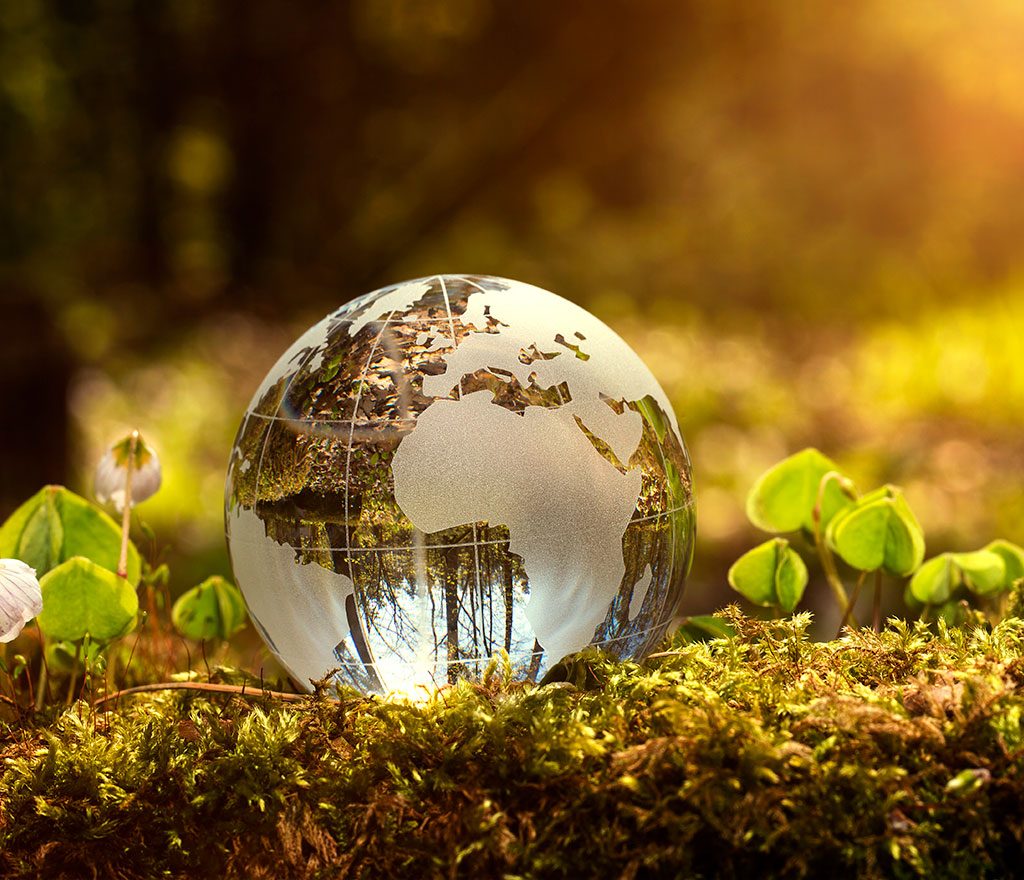 Derecho Ambiental y Desarrollo Sostenible